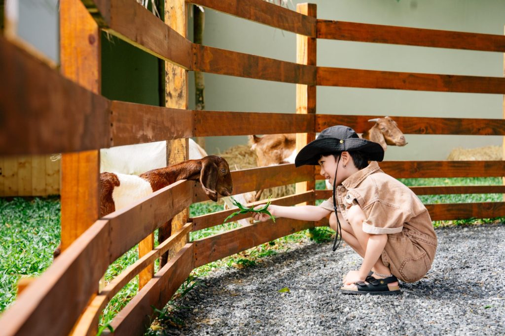 Kid Activity Hyatt Hyatt Regency Danang Resort